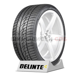 Автошина Delinte DS8 R22 285/40 110W